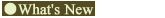 ���s �A���e�B�[�N�Ƌ�X Costante Antiques [What's New]